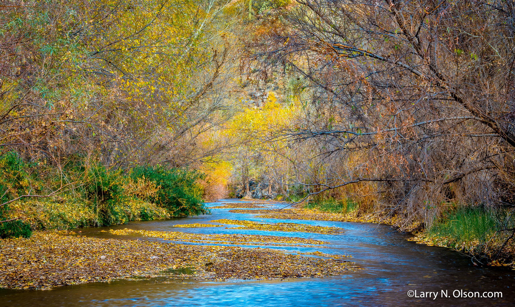 Aravaipa Canyon, AZ | 