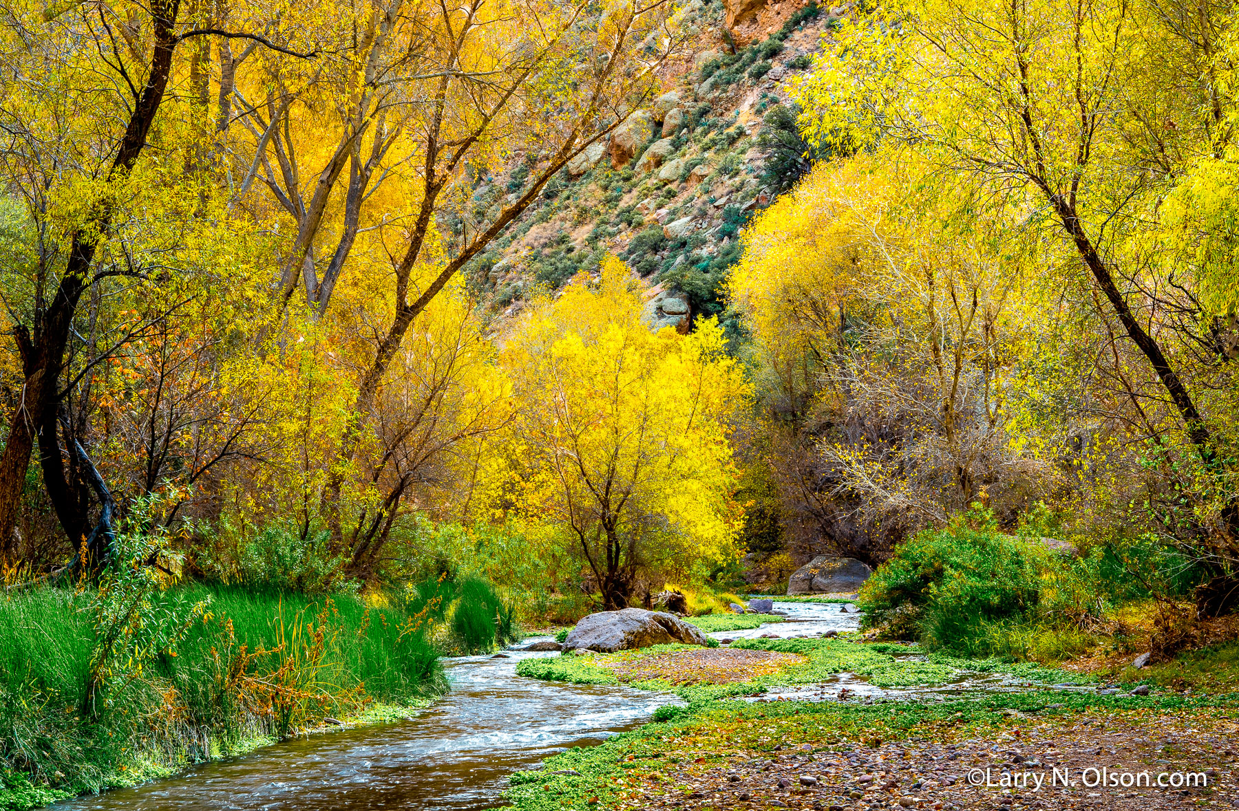 Aravaipa Canyon, AZ | 