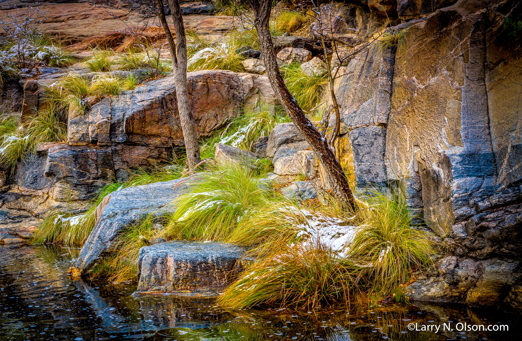 Bear Canyon,  Sabino Canyon, Tuscon, AZ | 