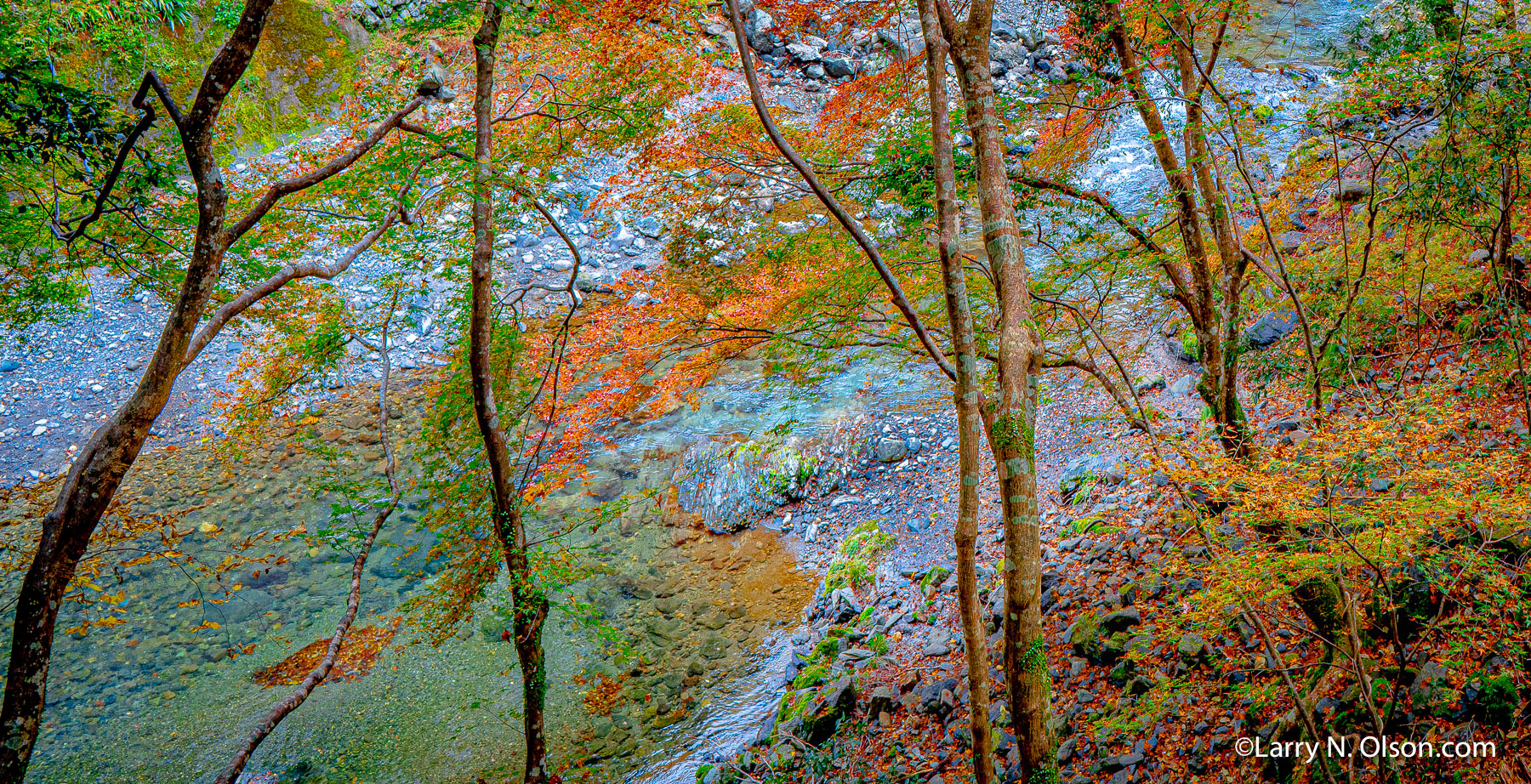 Autum Forest, Kyoto, Japan | Low water in the creek bed creates an abstract image.
