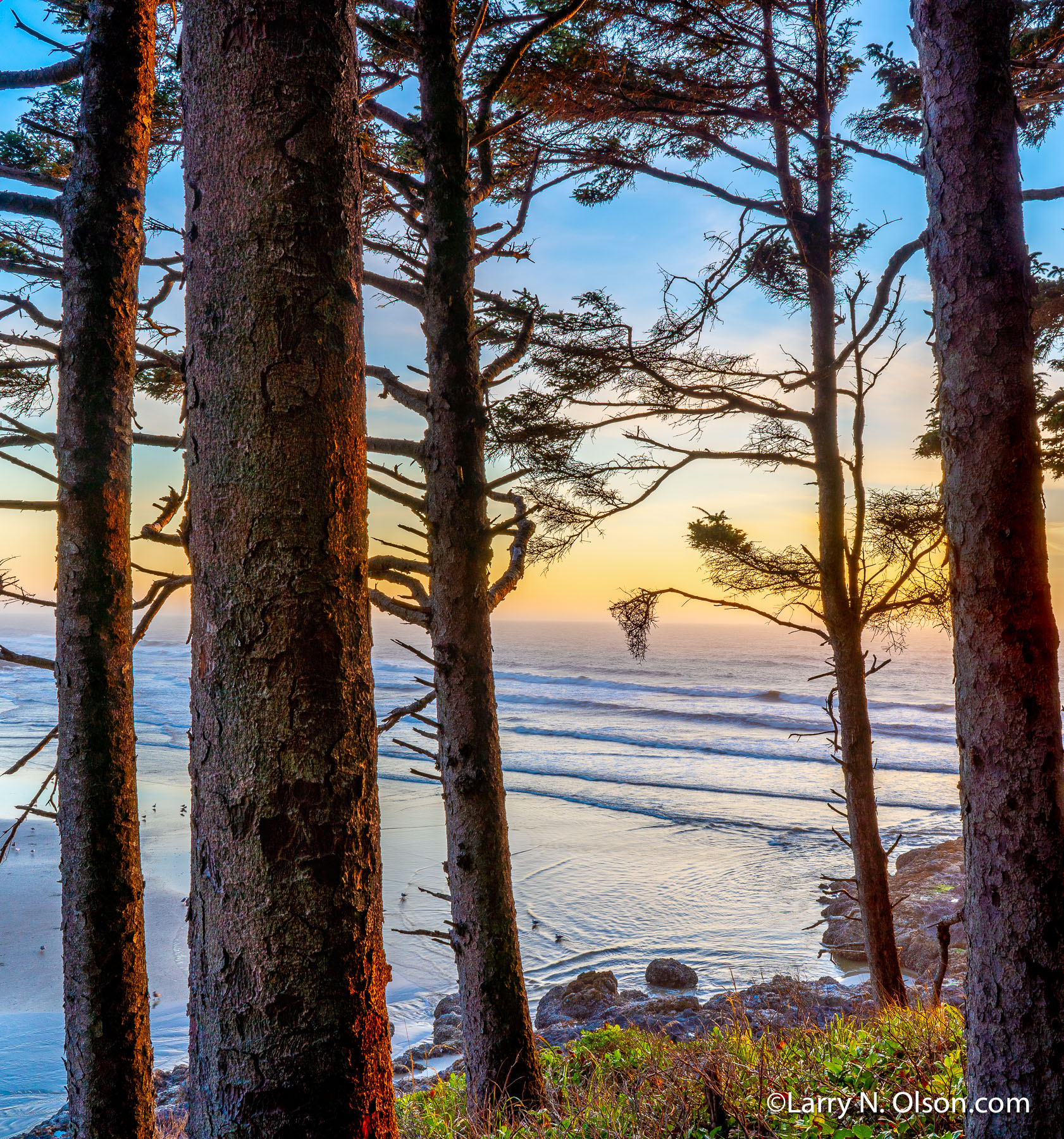 Cape Perpetua. Oregon | 