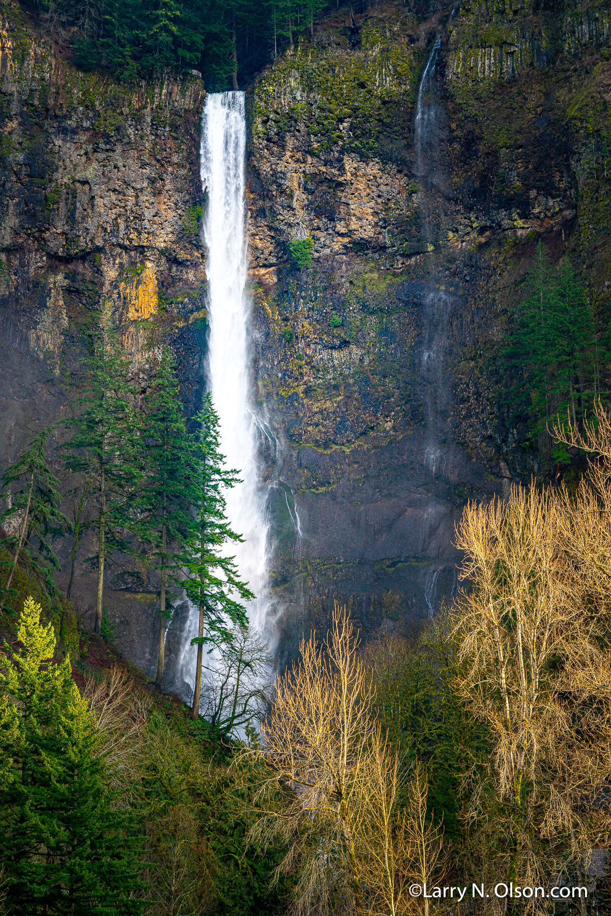 Multnomah Falls, Oregon | 