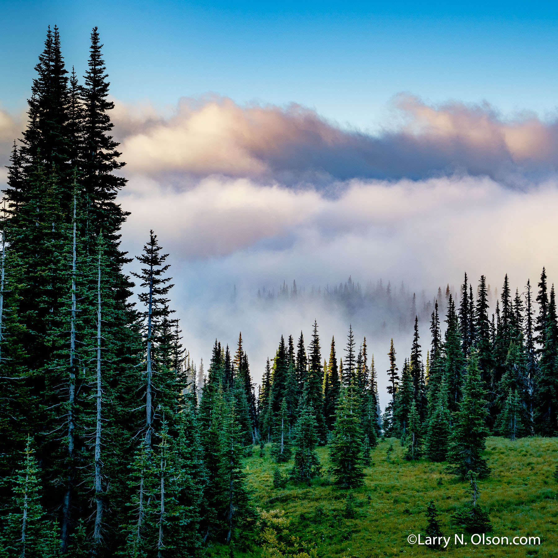 Sunrise Clouds, Mount Rainier, WA | 