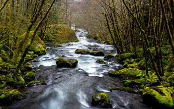 Winter, Herman Creek, Columbia River Gorge, OR | 