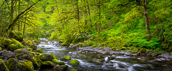 Tanner Creek, Columbia River Gorge, Oregon | 