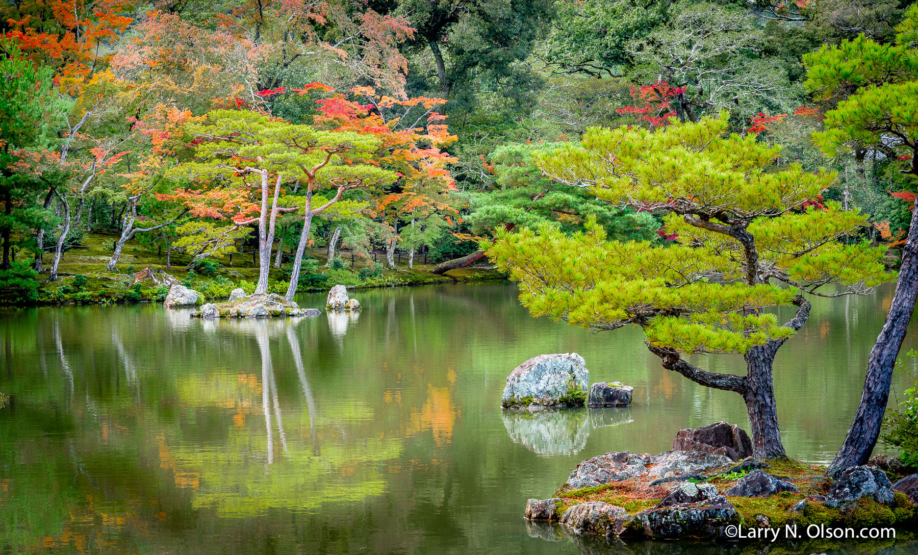 Garden and Pond, Kinkaku-ji, Japan | 