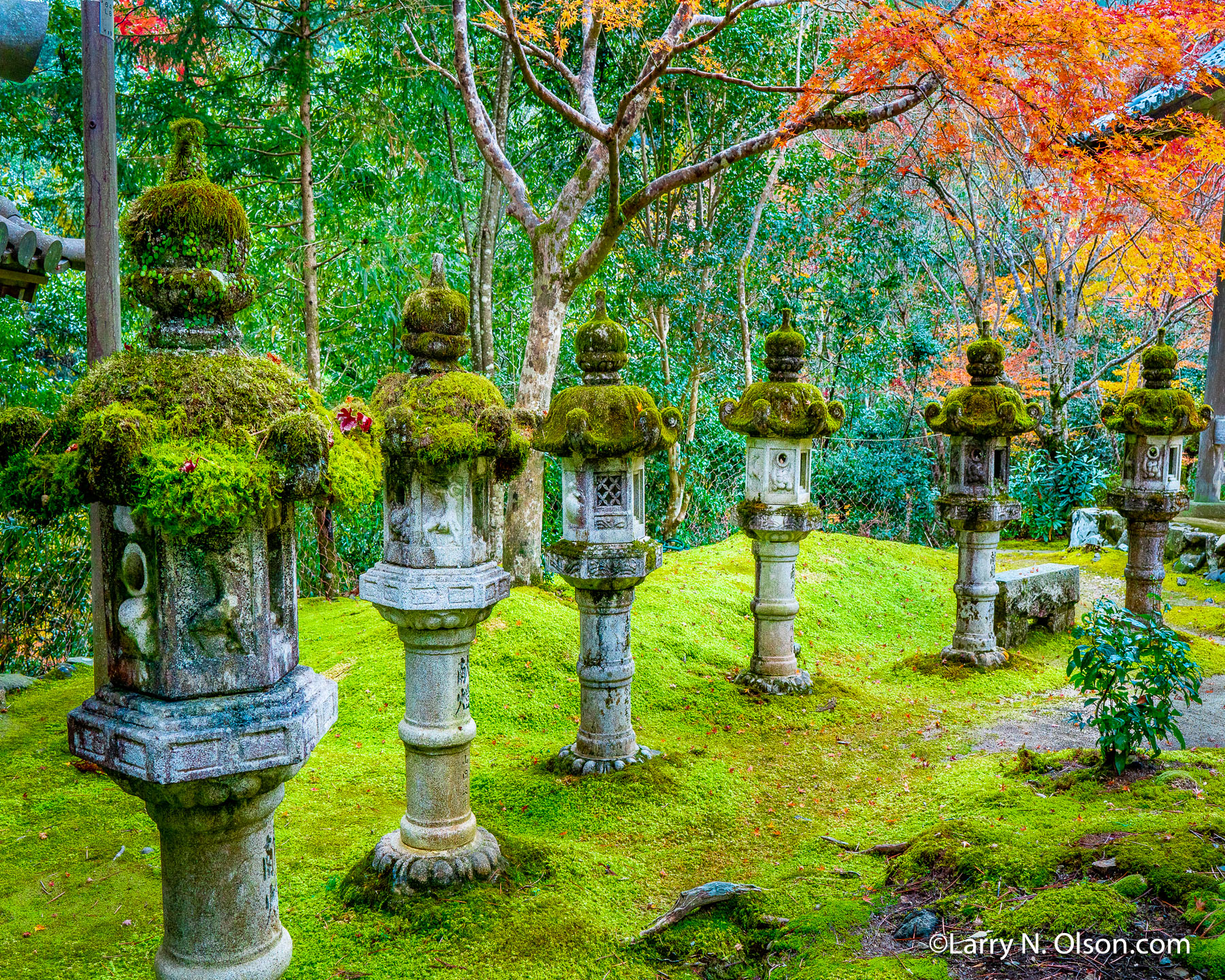 Saimyo-Ji Temple, Kyoto, Japan | 