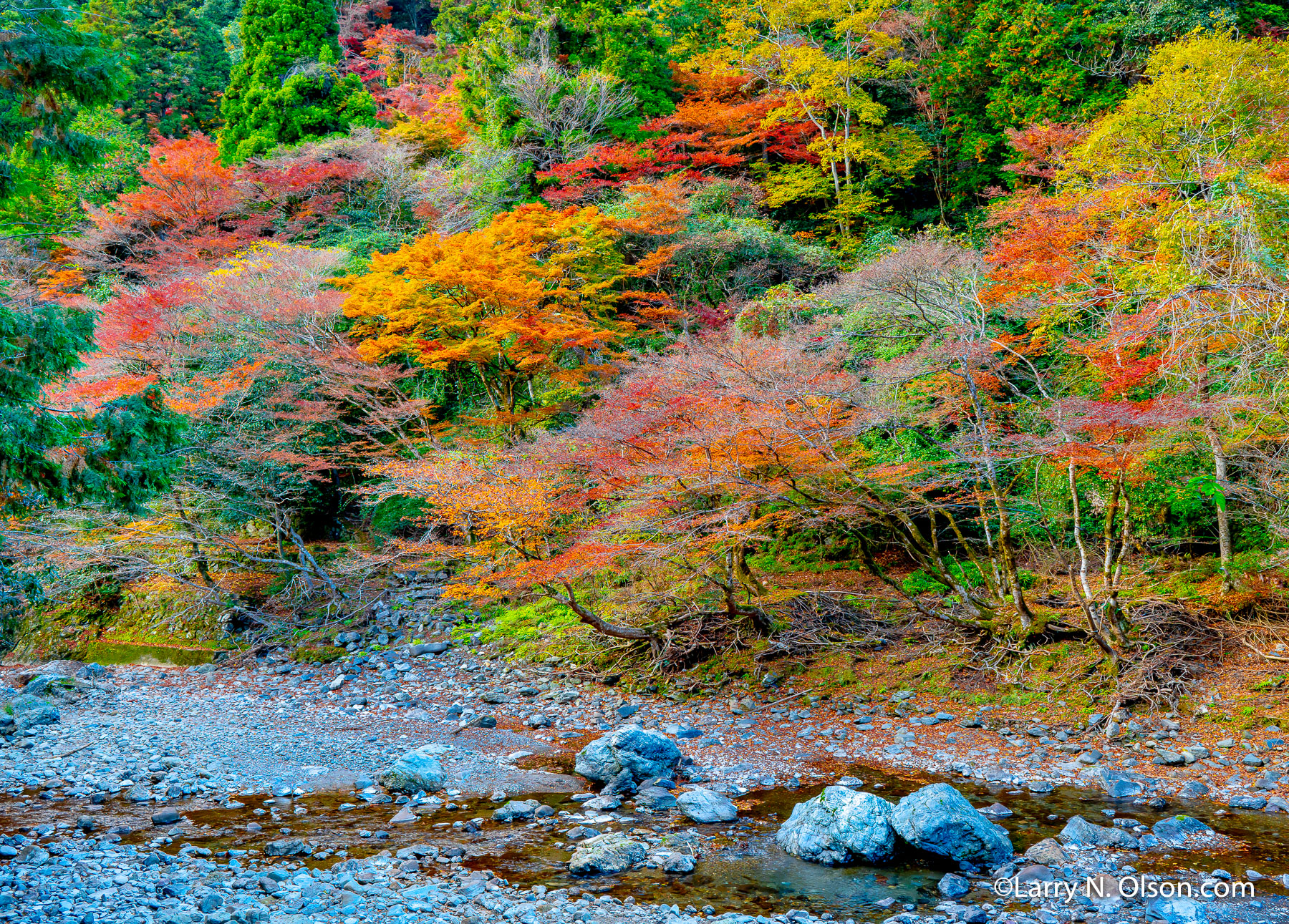 Autumn, Kiyotaki River, Kyoto, Japan | 