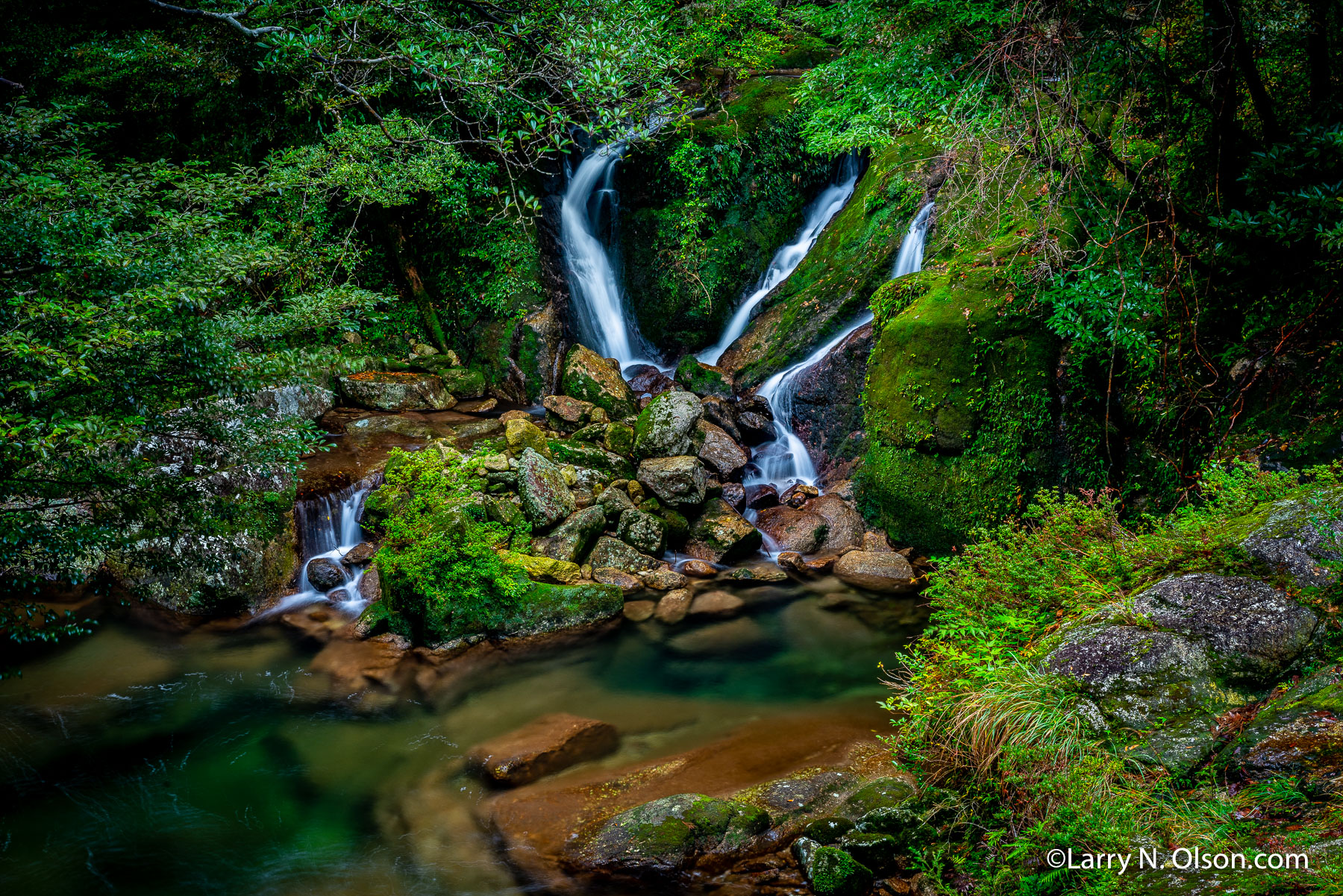 Three Falls, Yakusugi Land, Yakushima, Japan | 