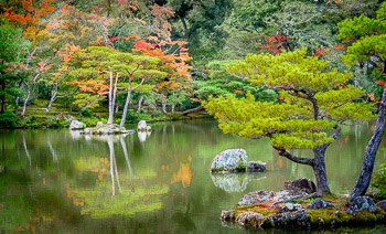 Garden and Pond, Kinkaku-ji, Japan | 