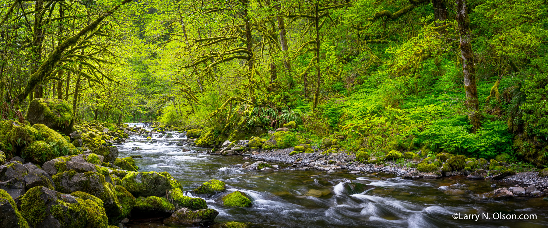 Tanner Creek, Columbia River Gorge, Oregon | 