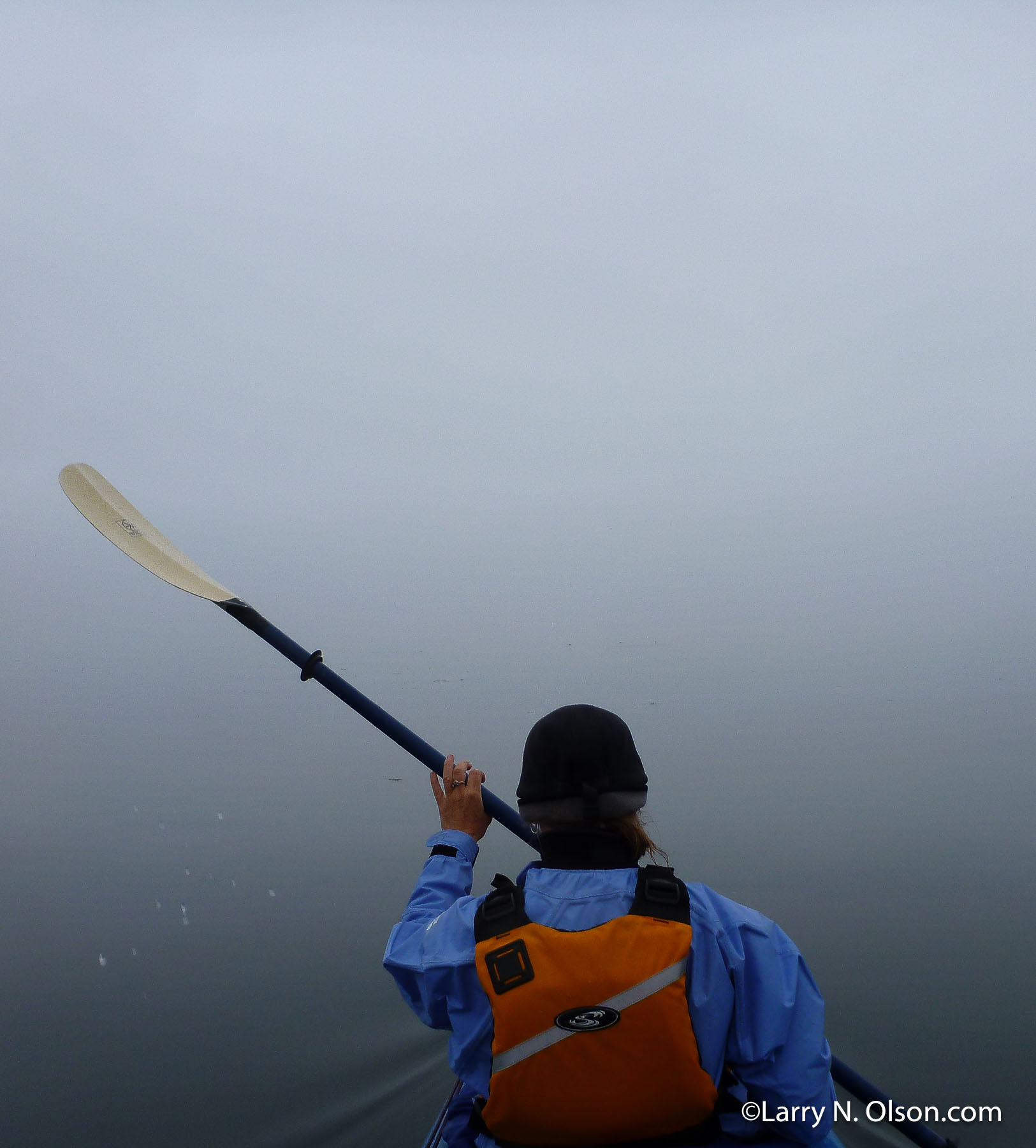  | Kayaker paddles through thick sea fog at Skincuttle Inlet.