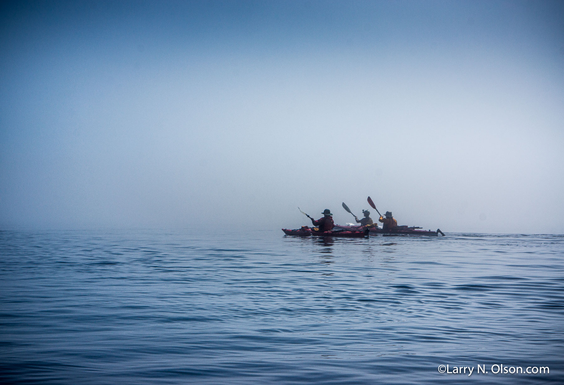 Kayakers in the  Broughton Archipelago at dawn. | Kayakers in the  Broughton Archipelago at dawn.