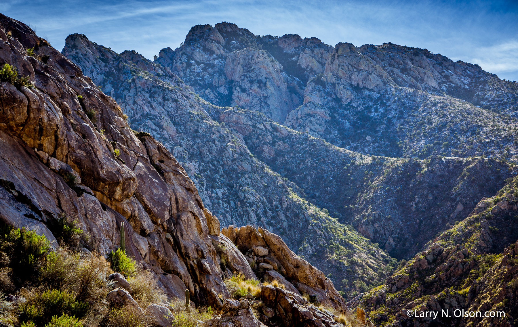 Catalina Mountains, Catalina State Park, AZ | 