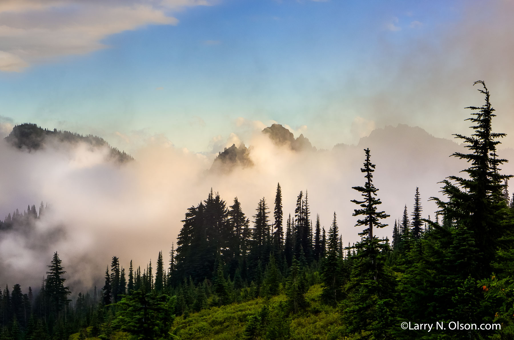 Tatoosh Range #2, Mount Rainier National Park, WA | 