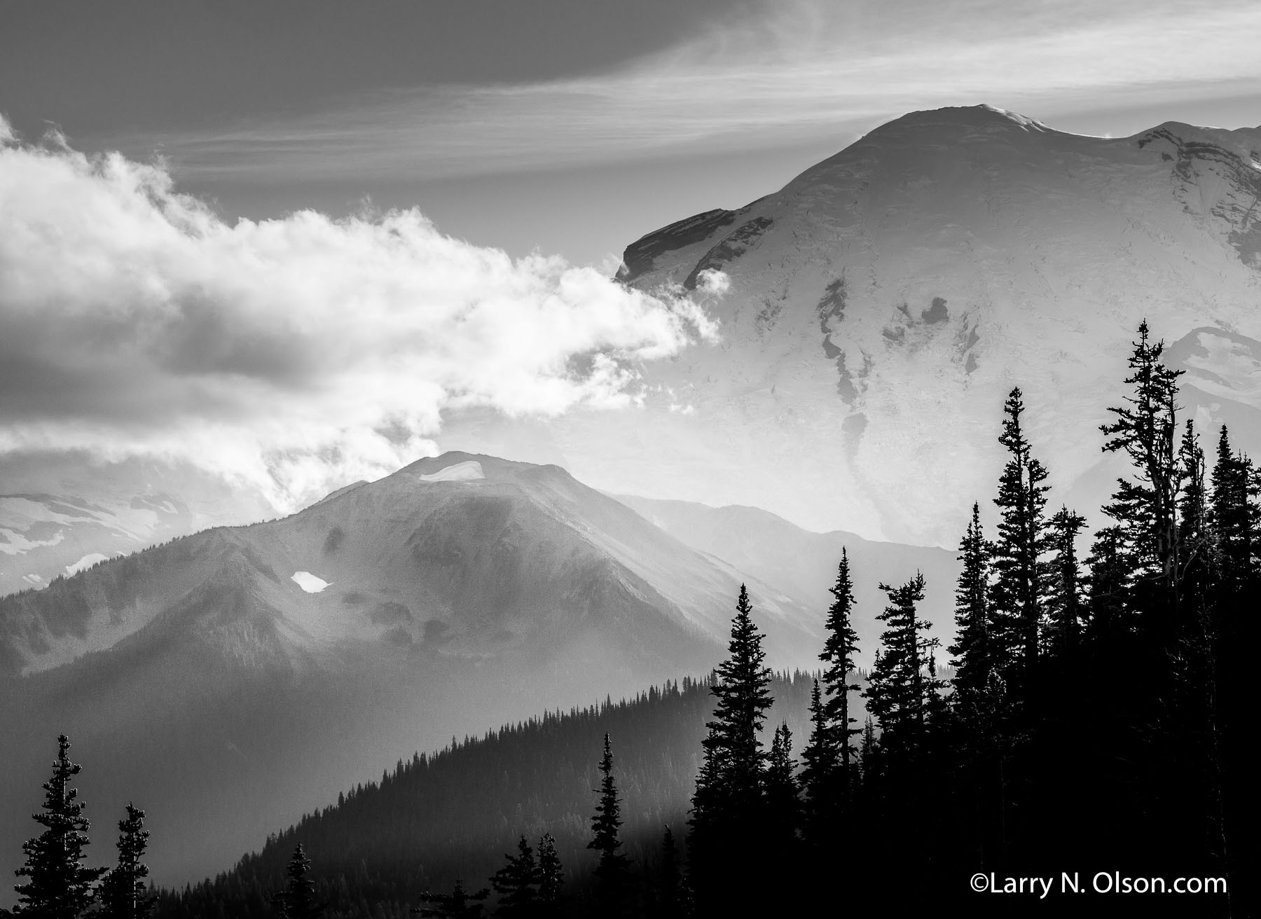 Mount Rainier National Park, WA | 