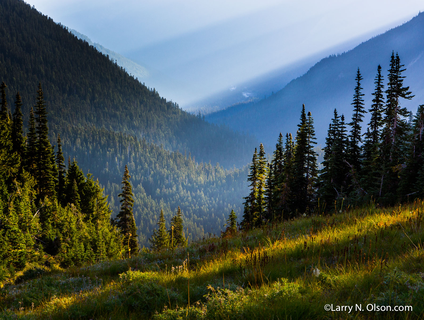 Sunrise #2, Mount Rainier National Park, WA | 