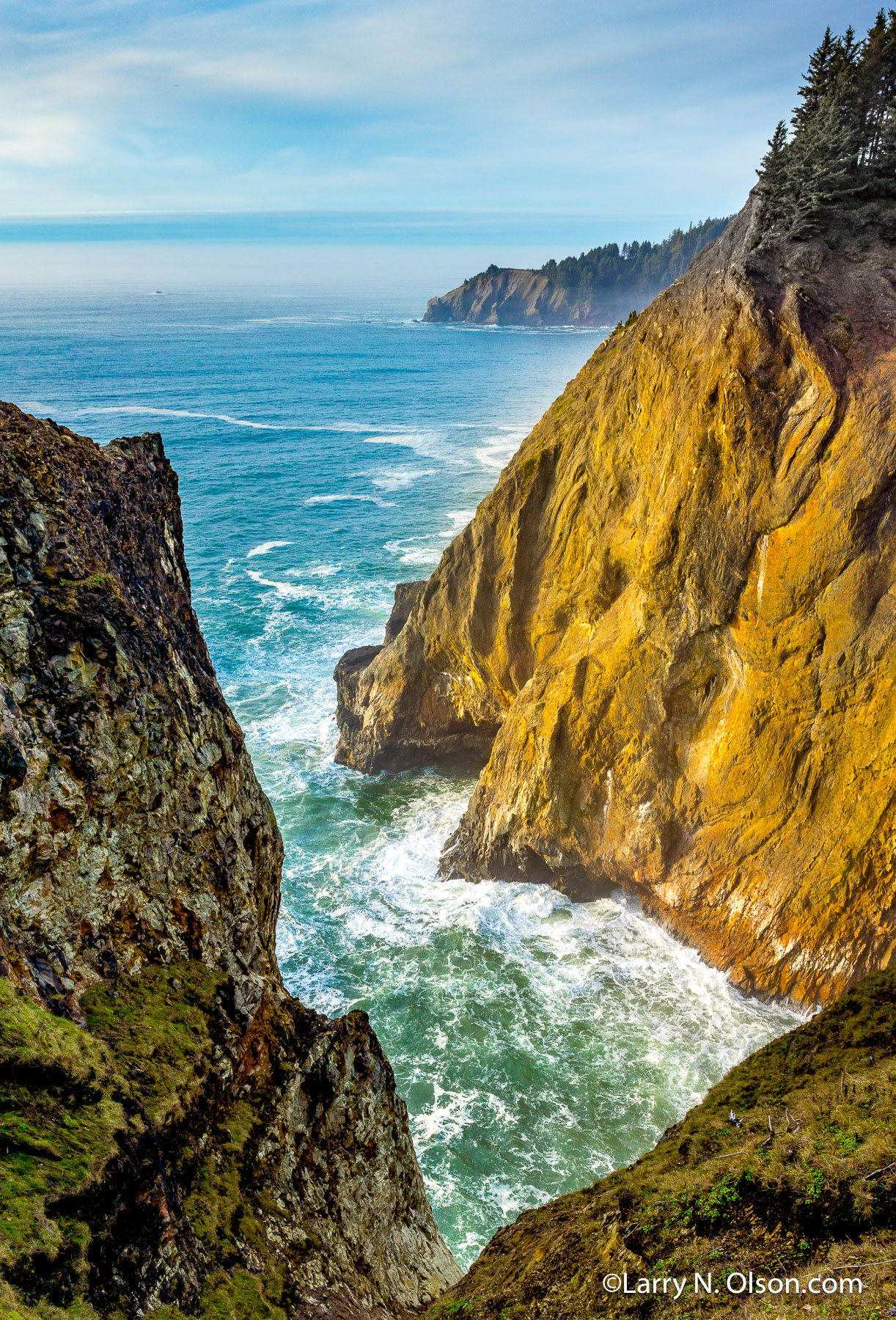 Oswald West State Park, OR | 