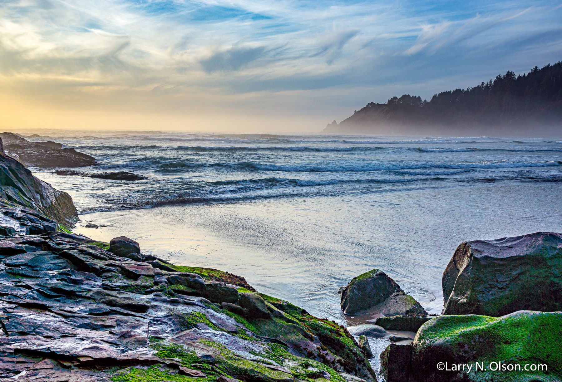 Oswald West State Park, Oregon | 