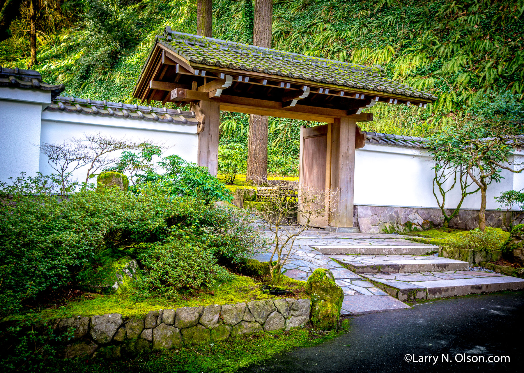 Entrance Gate, Japanese Garden, Portland, Oregon | 
