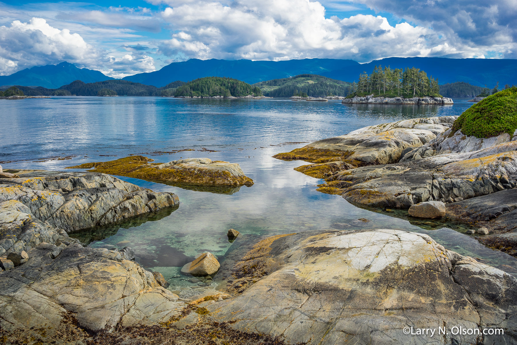 White Cliffs, Broughton Archipelago, BC | Rocky ledges on the White Cliffs are pollished smooth by ocean waves  in the Broughton Archipelago.