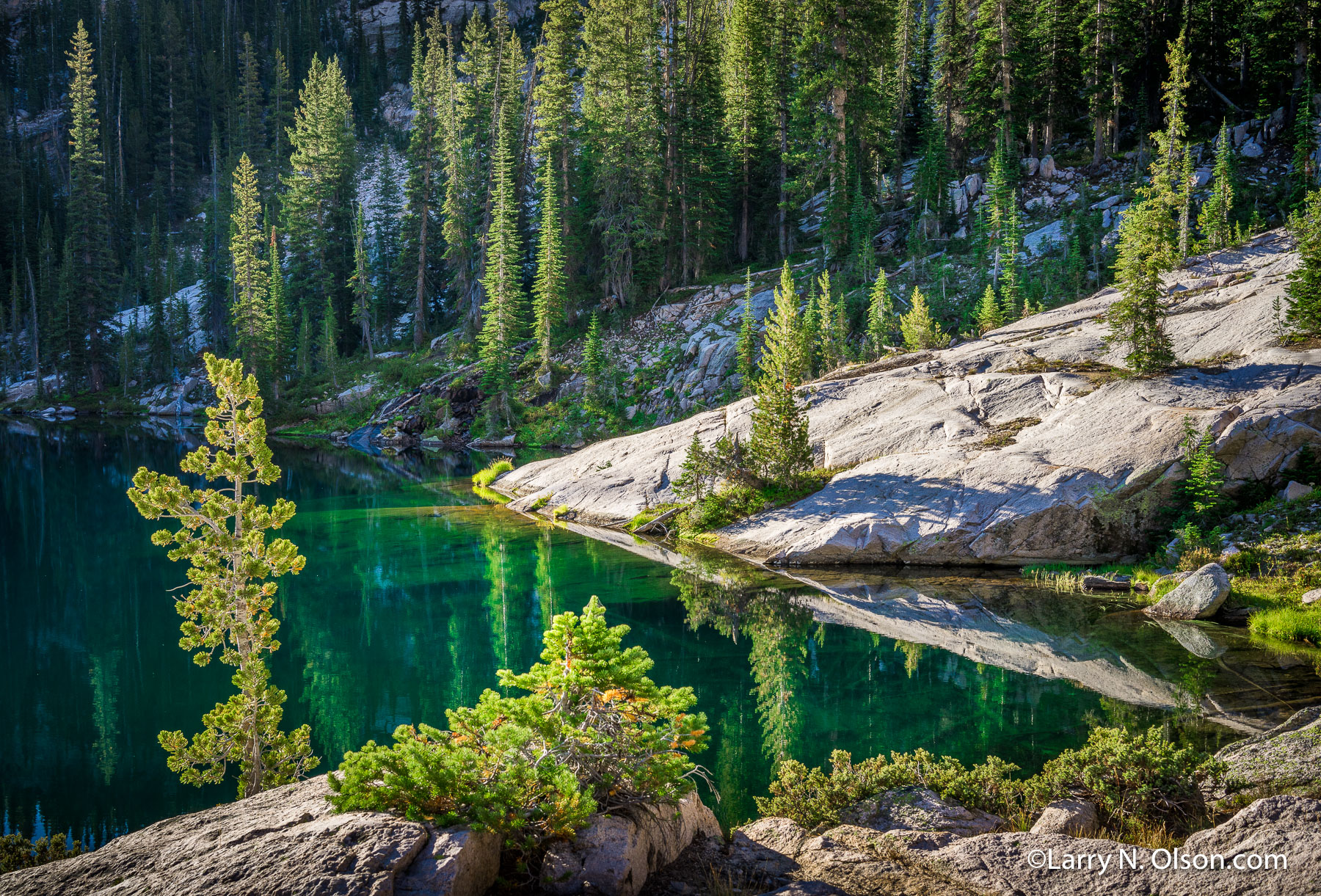 Alpine Lake, Sawtooth Mountains WIlderness, ID | Emerald green Apine Lake reflects the forest in the early morning light.