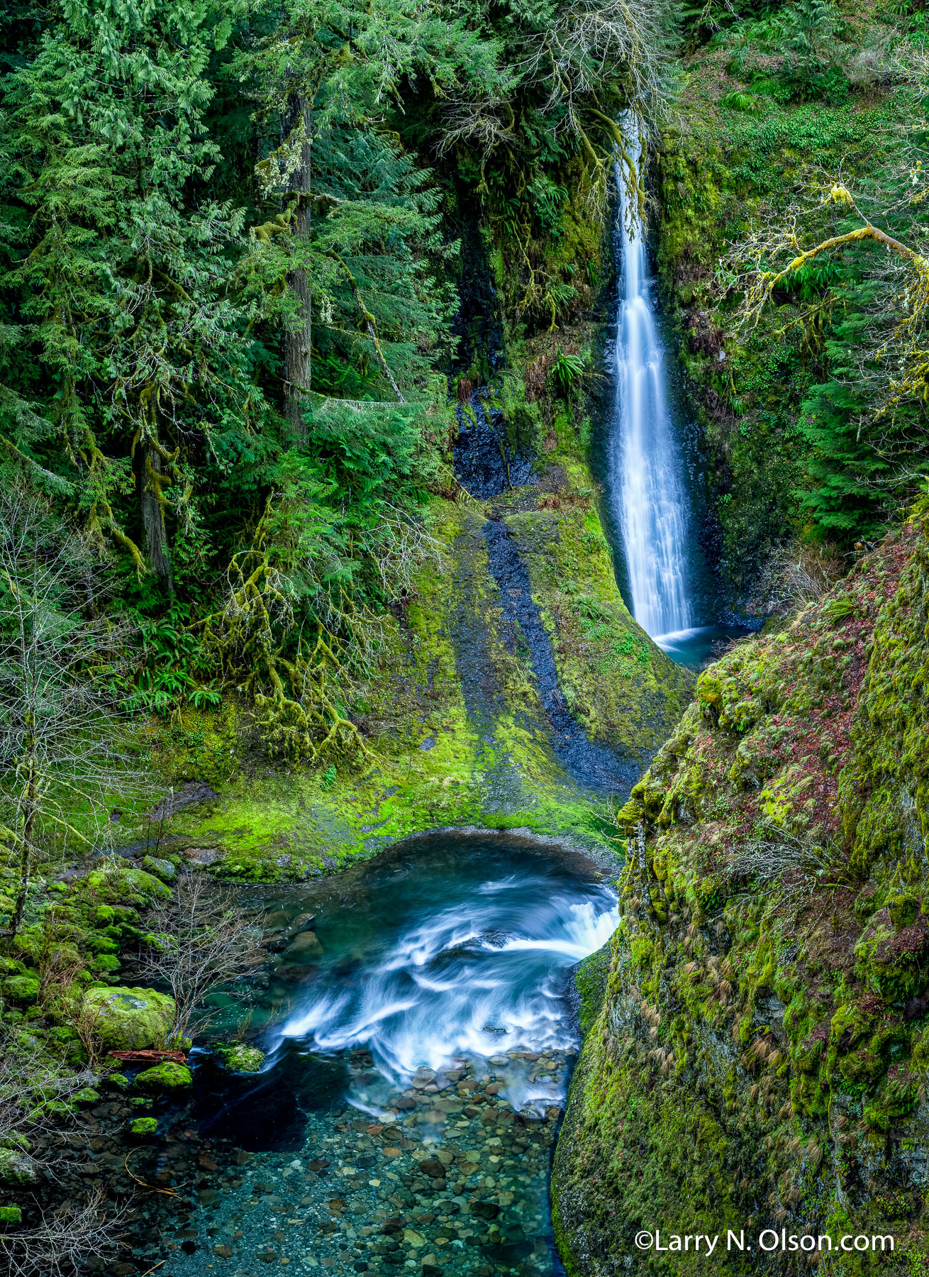 Eagle Creek, Columbia River Gorge, Oregon | 