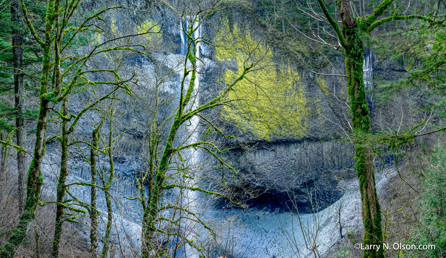 Latourell Falls, Columbia River Gorge, OR | 