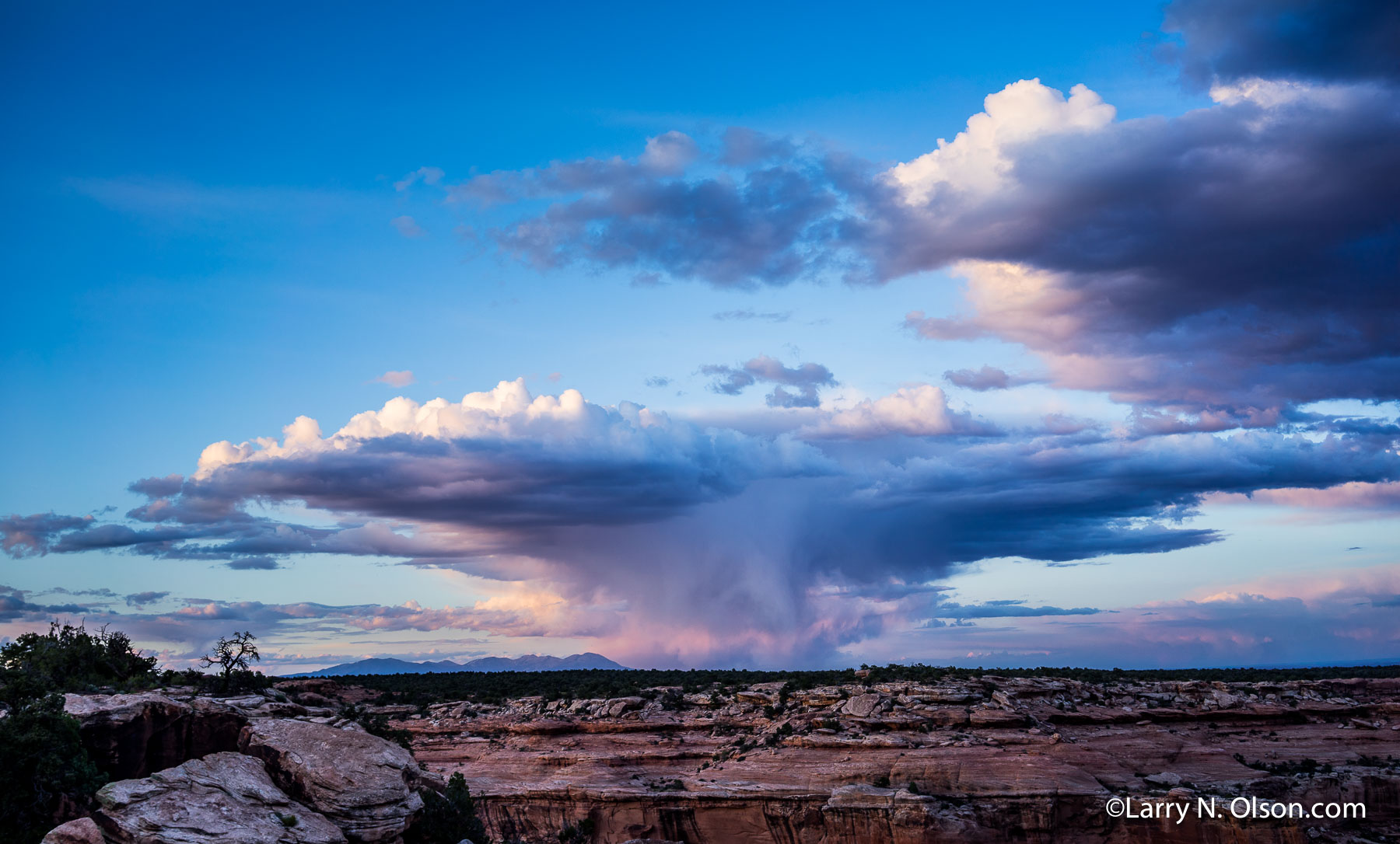 Cedar Mesa, Utah | 