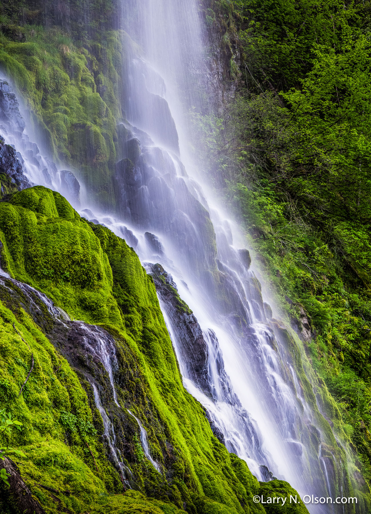 Lancaster Falls #2, OR | Mosses cover the basalt  where the waterfall does not tear it away.