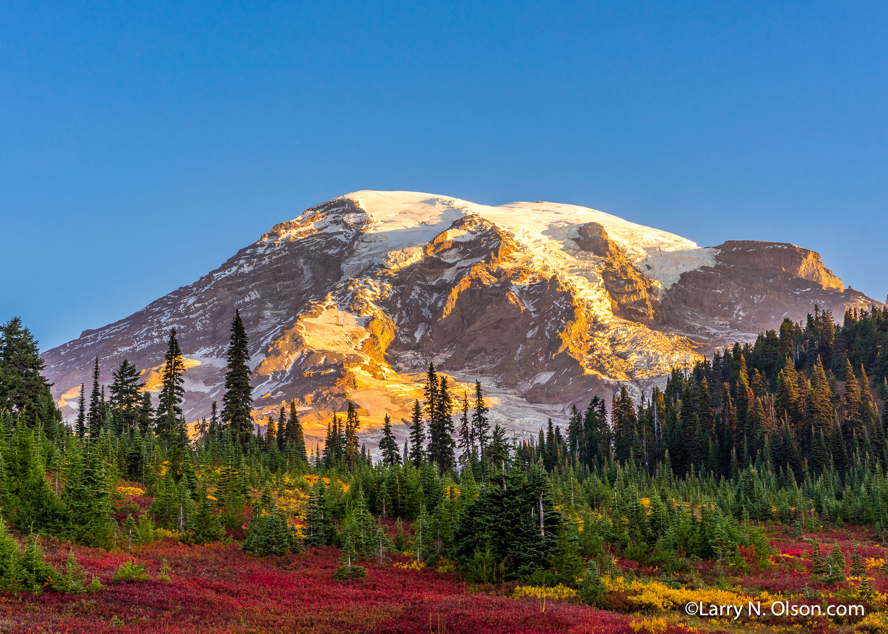 Mount Rainier National Park, WA | 