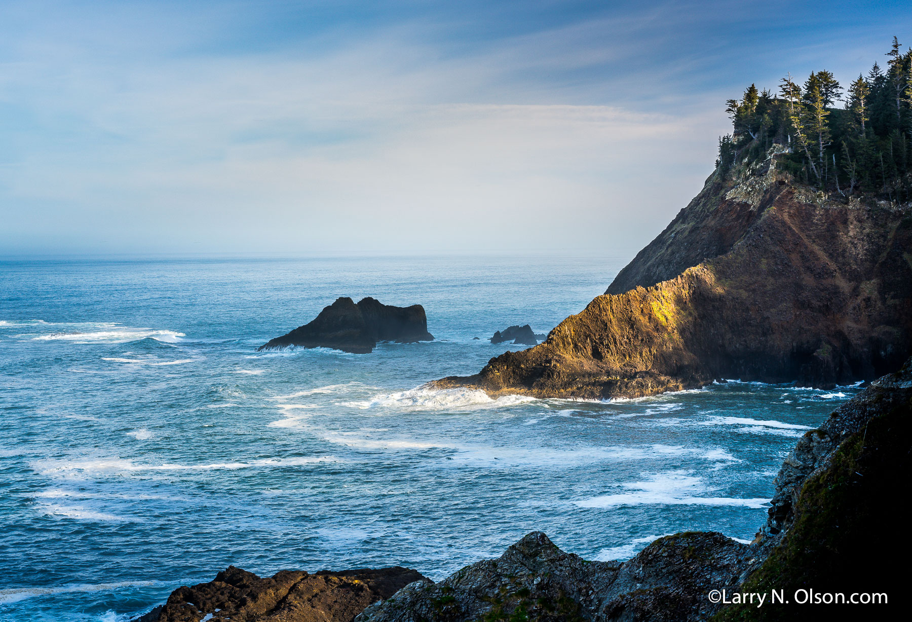 Oswald West State Park, OR | 