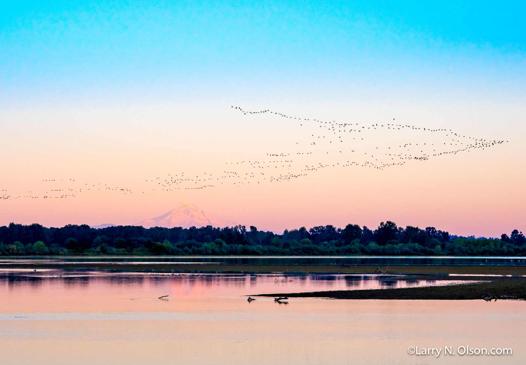 Sturgeon Lake, Sauvie Island, Oregon | 