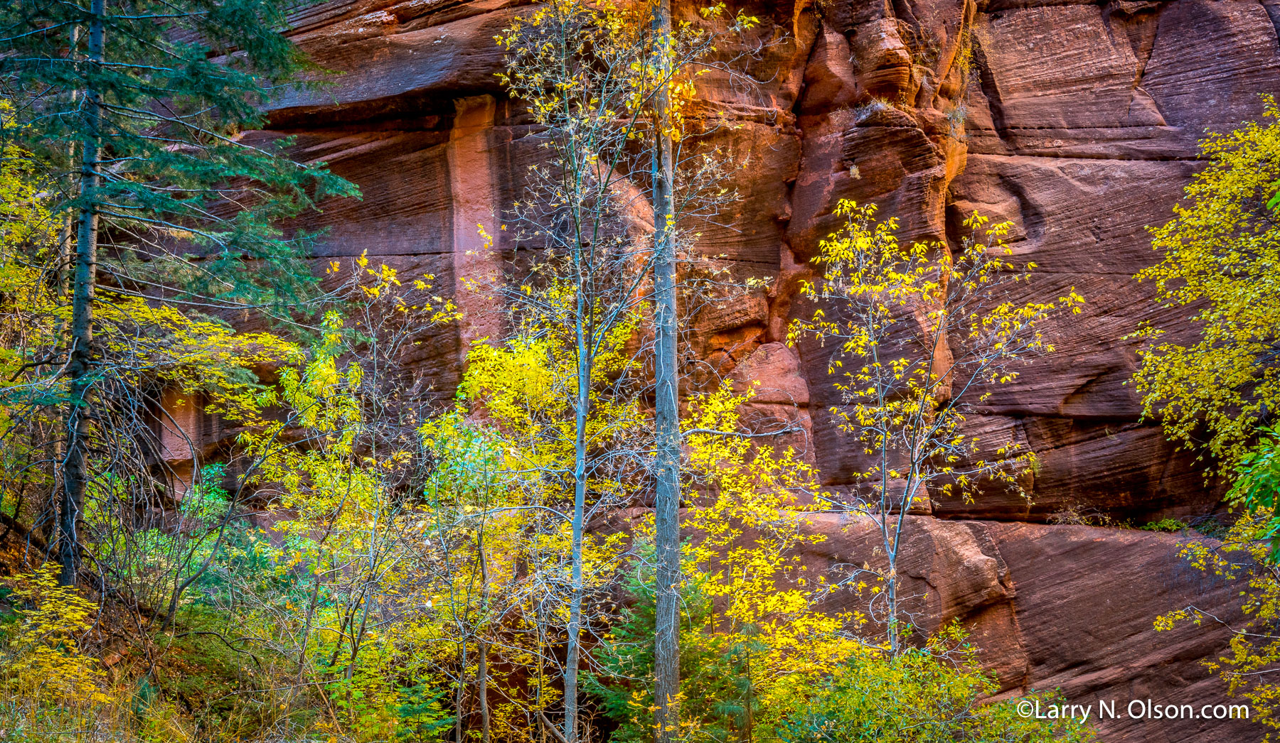 Kolob Canyon, Zion National Park, Utah | 