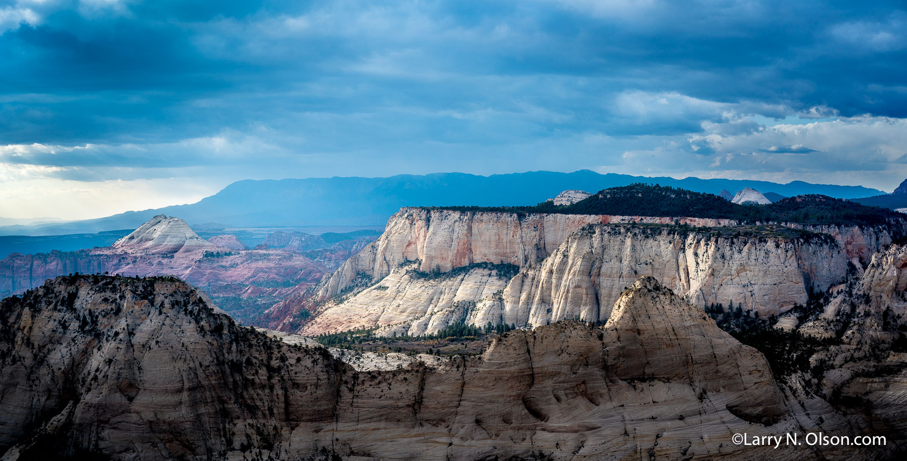 Left Fork, North Creek, Zion National Park, UT | 