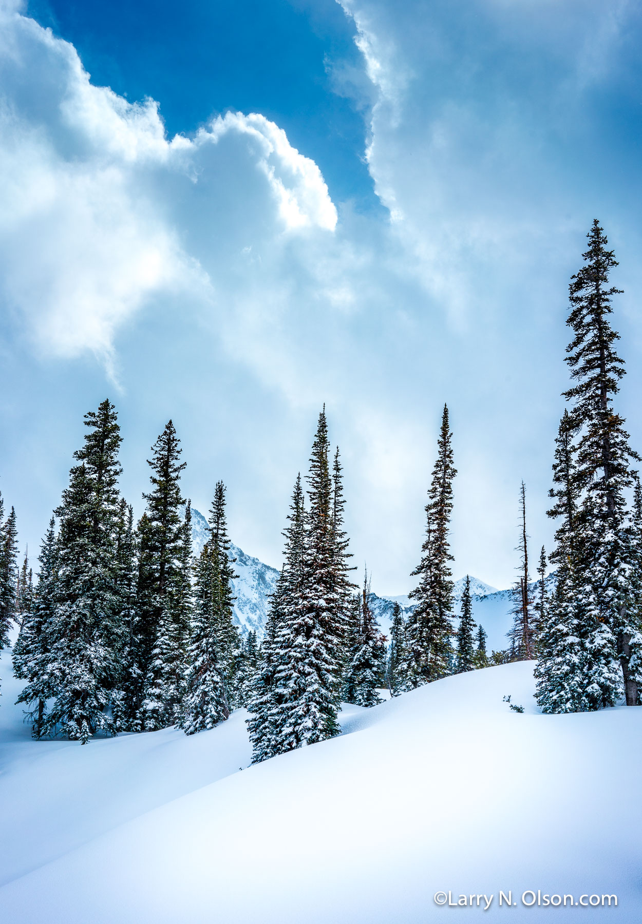 Maybird Ridge, Wasatch Mountains, UT | 