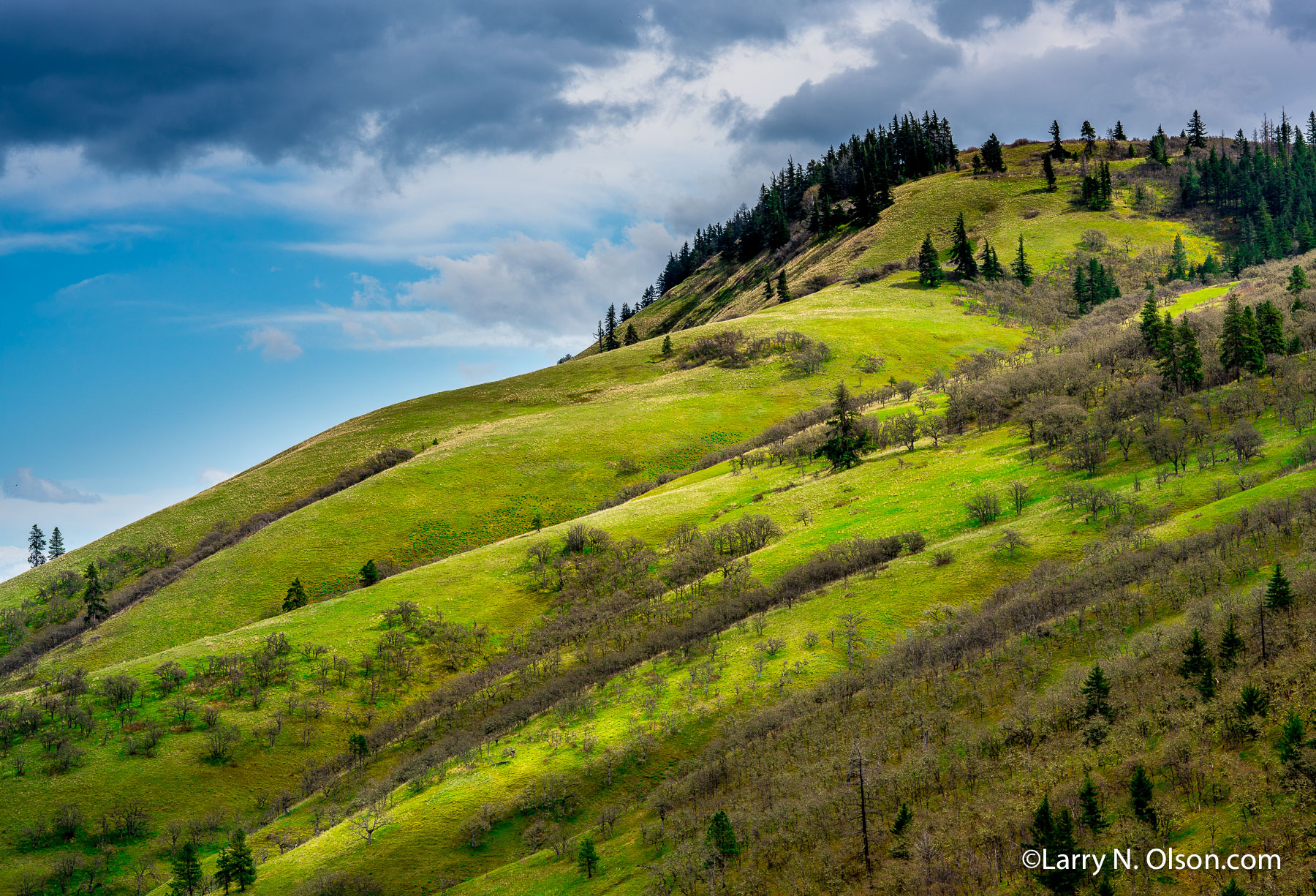 Rowena, Columbia River Gorge, Oregon | 