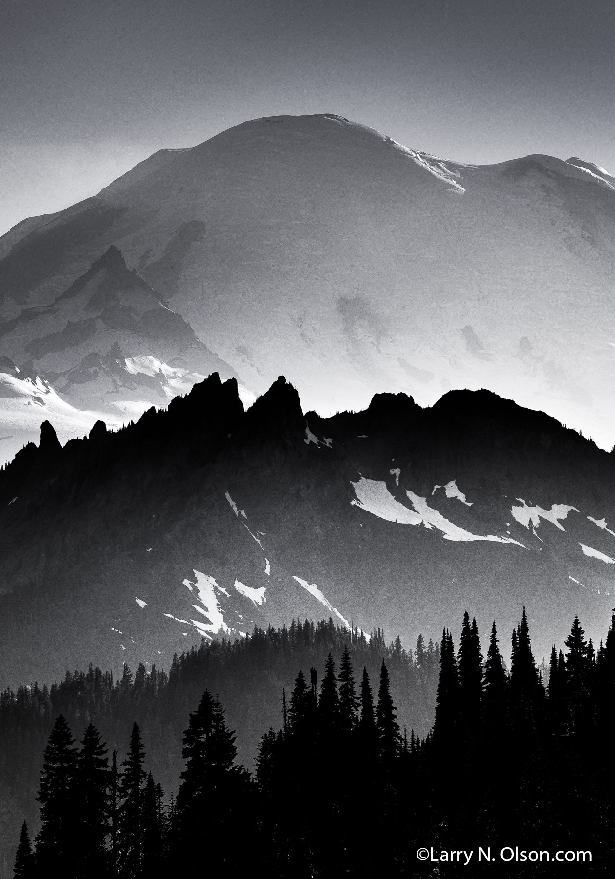 Mount Rainier National Park, WA | 