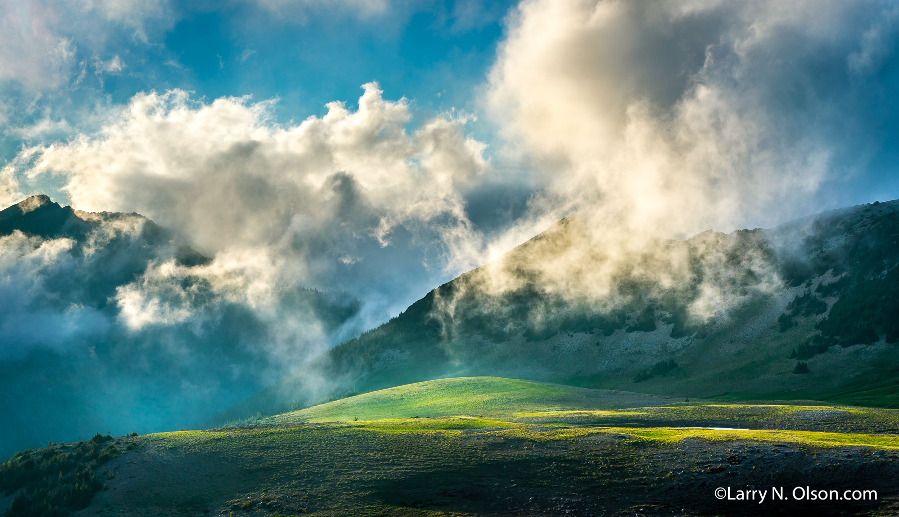 Berkeley Park,  Mount Rainier National Park, WA | Soft evening light lingers on a high alpine meadow on Mount Rainier's flank.