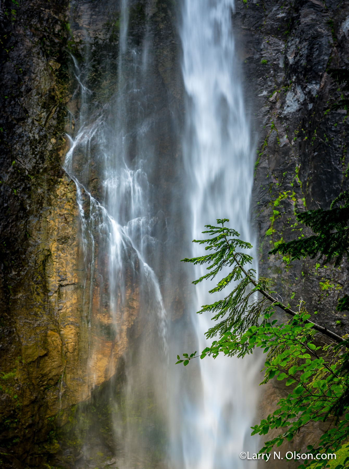 Mount Rainier National Park, WA | 