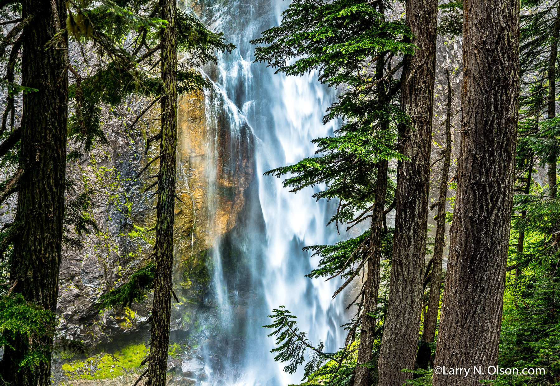 Mount Rainier National Park, WA | 