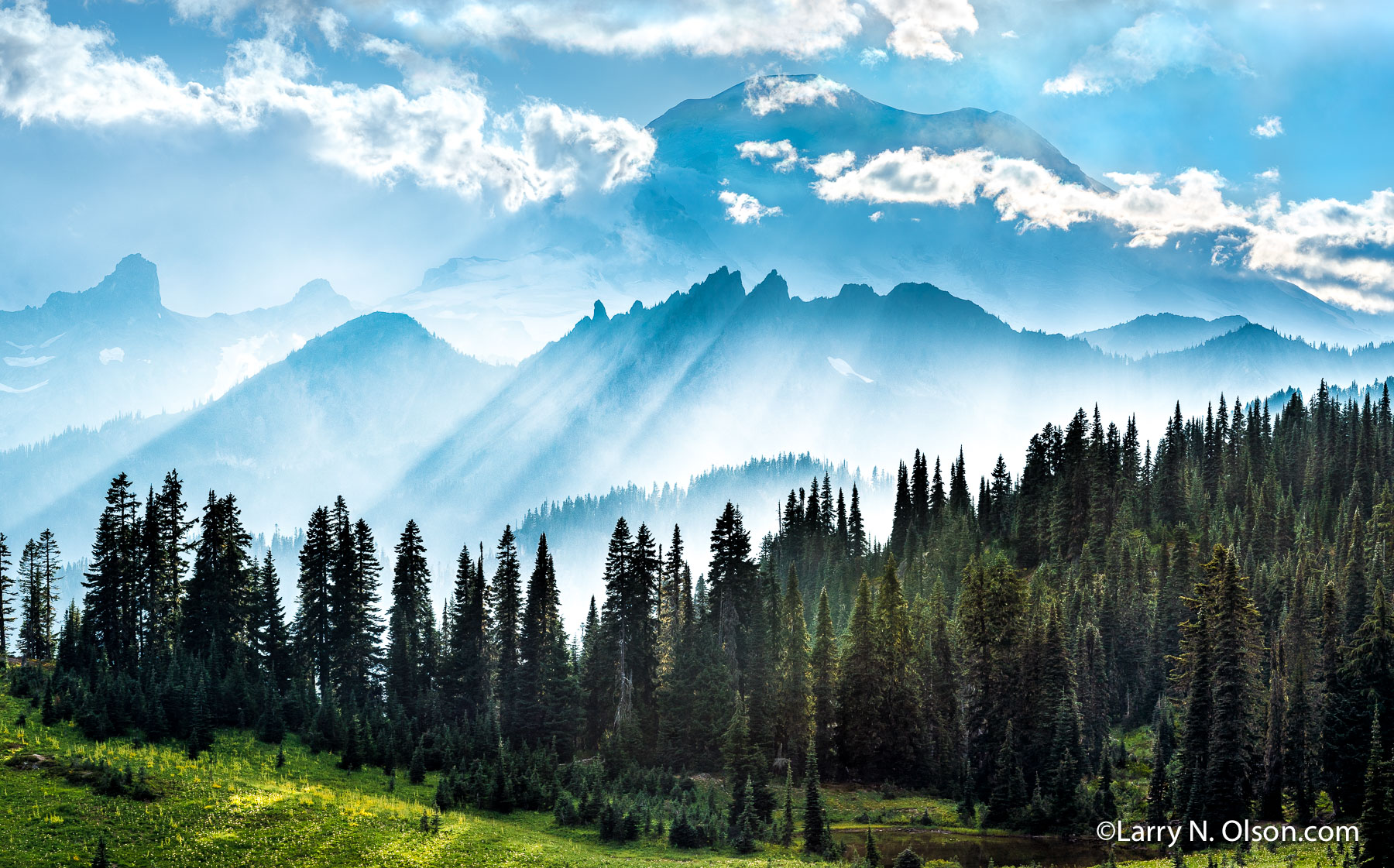 Governors Ridge, Mount Rainier National Park, WA | Rays of sunlight pass through clouds and fog on Governors Ridge, Mount Rainier National Park, WA