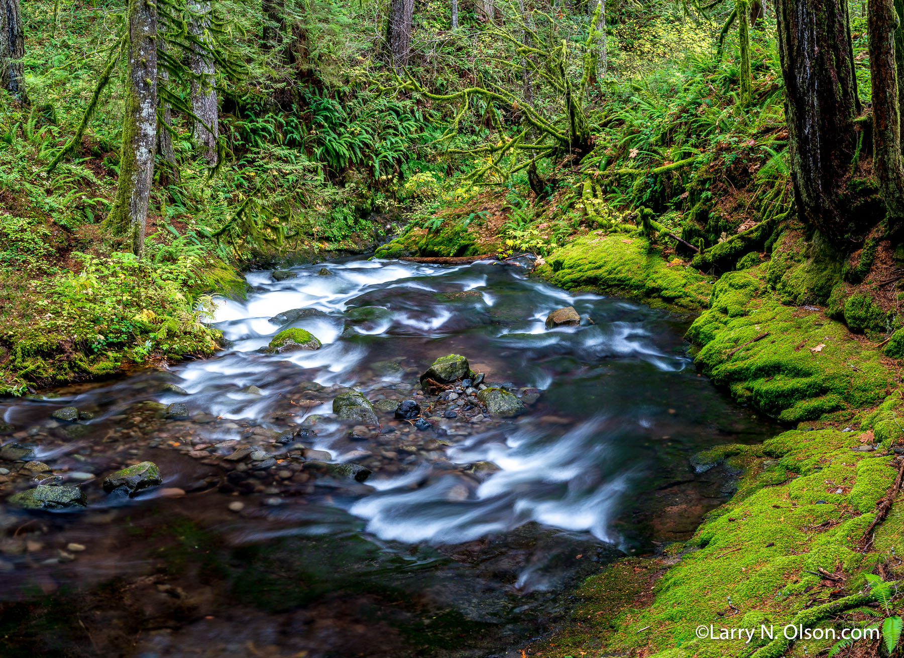 Duncan Creek, Columbia River Gorge, Washington | 