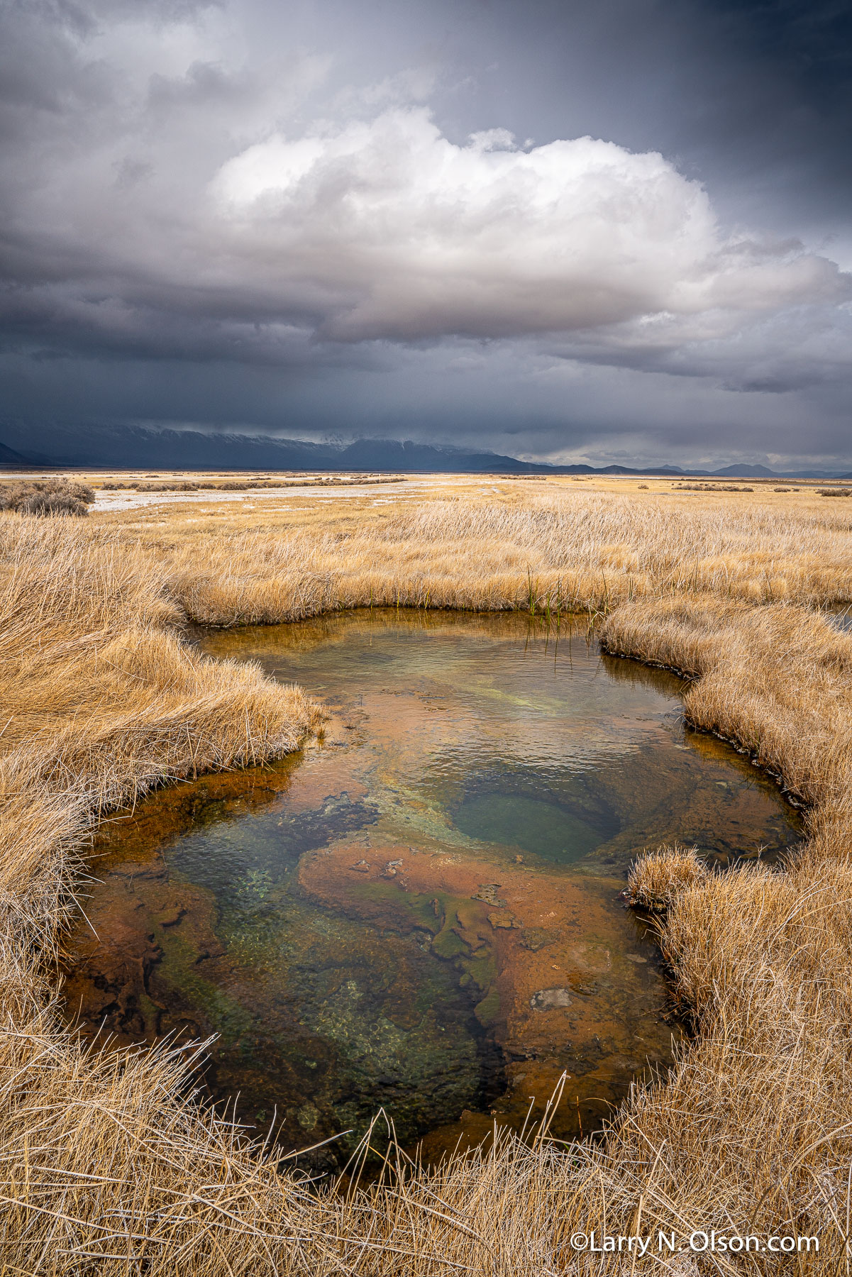 Hot Springs,  Alvord Desert, OR | 