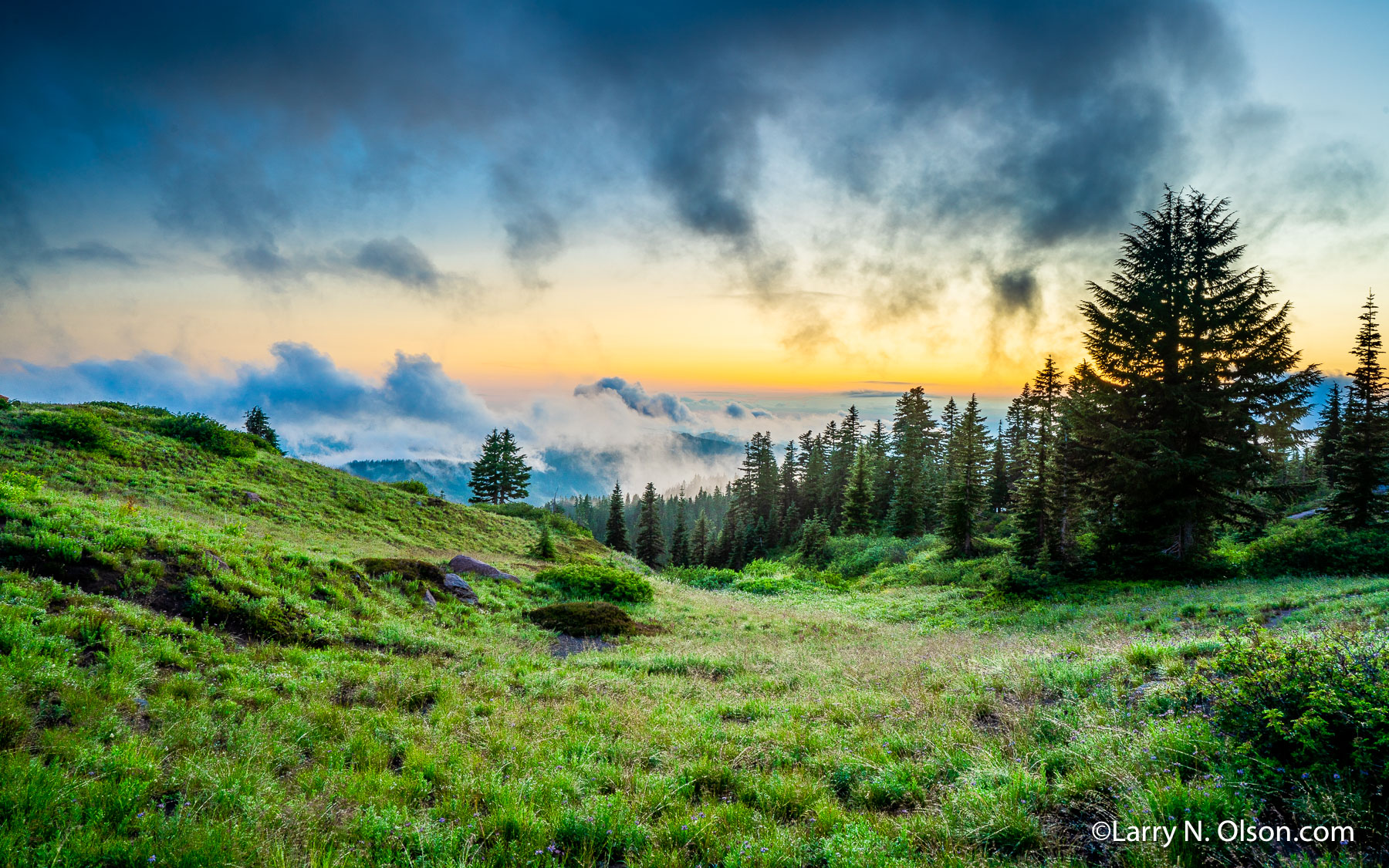 Clearing storm , Paradise Park, Mount Hood, OR | Lingering light yellows the skyline after a rain storm.