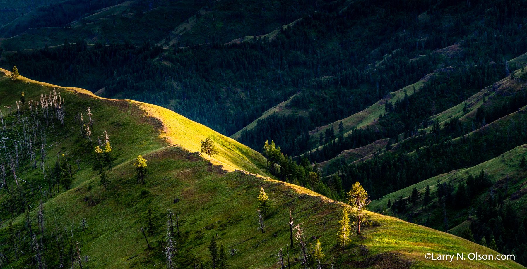 Imnaha River Canyon, Hells Canyon National Recreation Area, Oregon | Evening light on a ridgetop in Hells Canyon National Recreation Area.