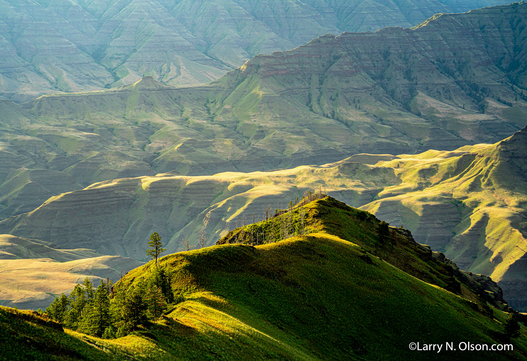 Imnaha River Canyon, Hells Canyon National Recreation Area, Oregon | Mid morning light on the ridgetops in Hells Canyon National Recreation Area.