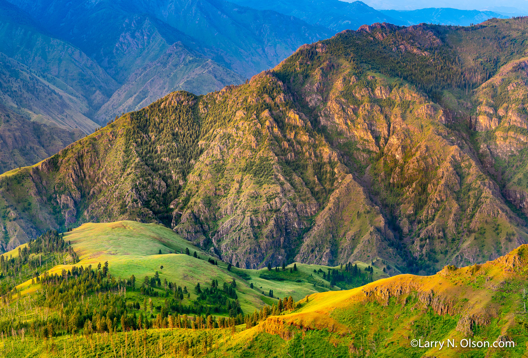 Hat Point, Hells Canyon National Recreation Area, Oregon | This photo was made from the Hat Point Lookout on June 26th, 2020 at 5:15am. In the morning, golden light illuminates the foreground while Hells Canyon remains in shadow.  Below lies the Snake River with Idaho in the background.