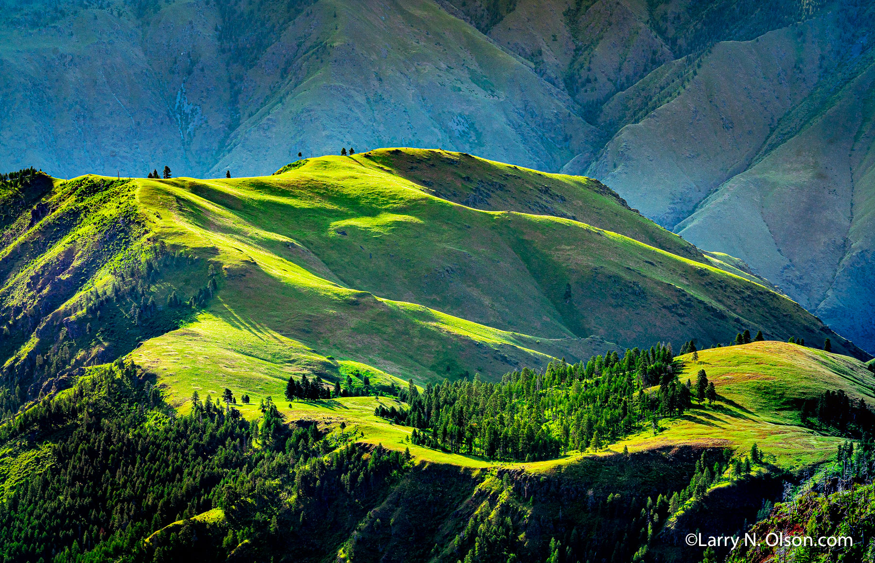 Hat Point, Hells Canyon National Recreation Area, Oregon | Mid morning light on the ridgetops in Hells Canyon National Recreation Area.