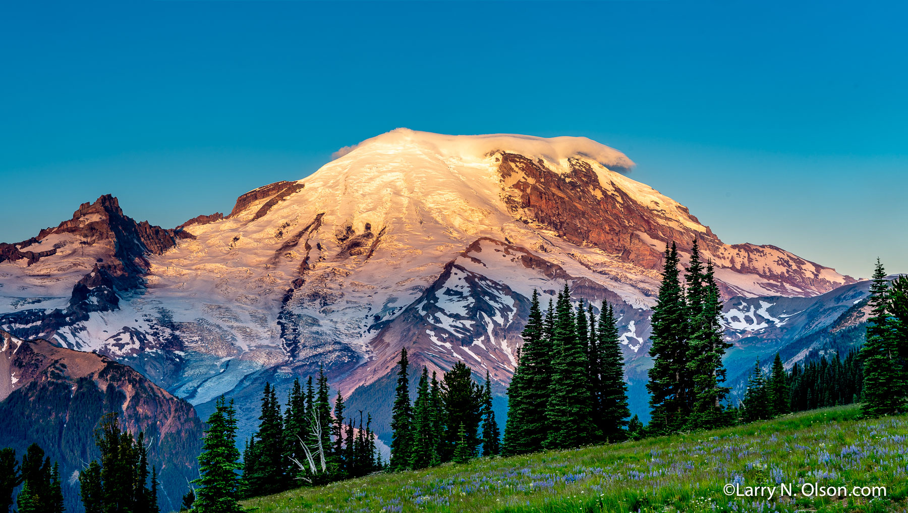 Mount Rainier National Park, WA | 